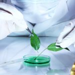 Innovation en Produits de Nettoyage Biologique